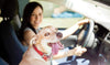 Does your dog have a seatbelt on? If not, you could be breaking the law